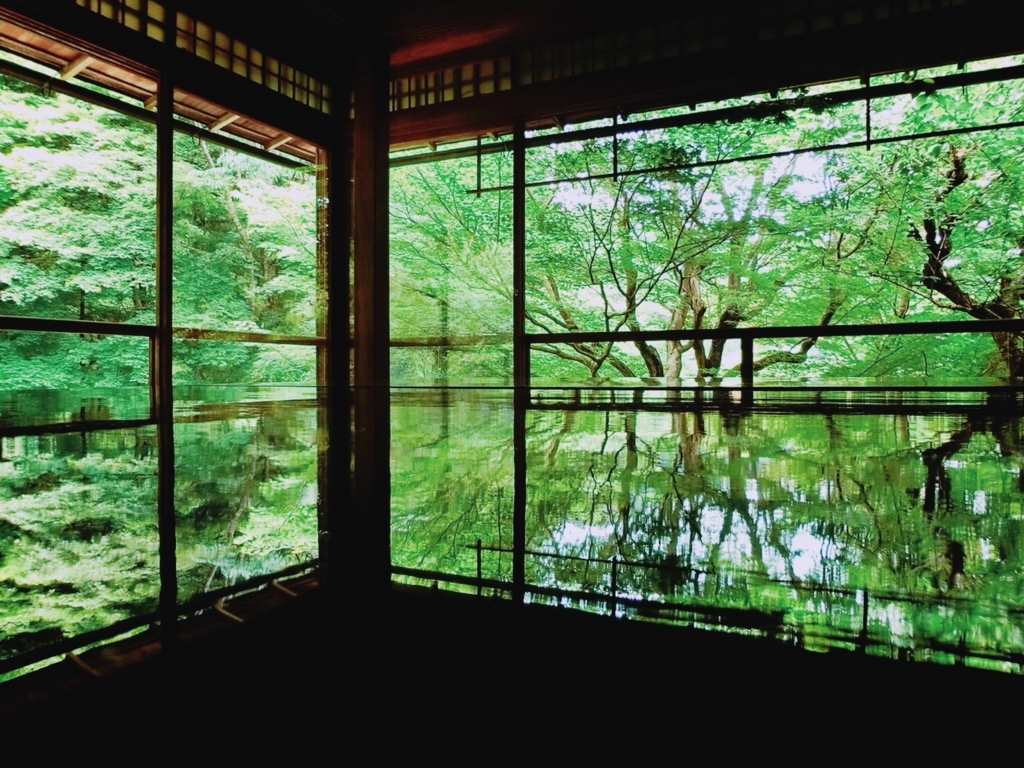 新緑の絶景 京都 瑠璃光院 へ行ってきました ささらえおとこ